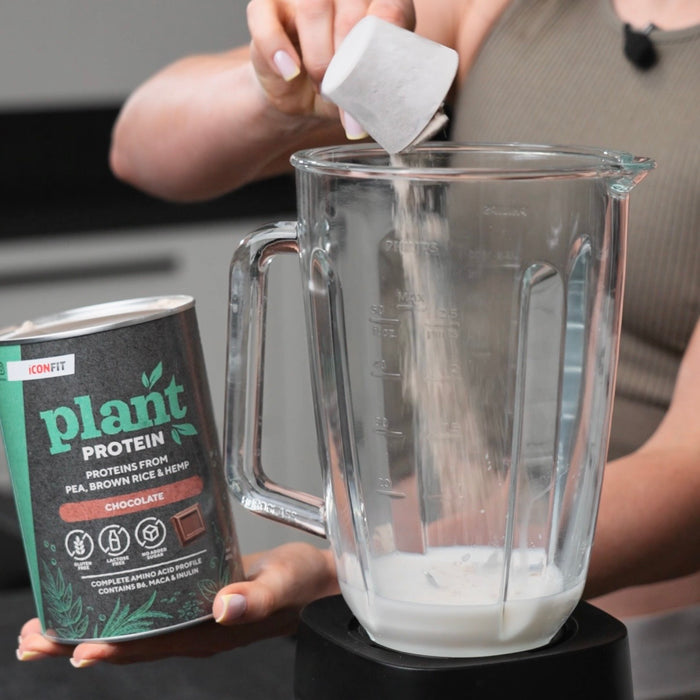 ICONFIT Plant Protein (480 g)