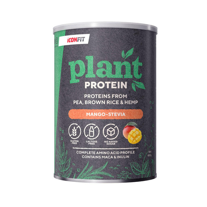 ICONFIT Plant Protein (480 g)